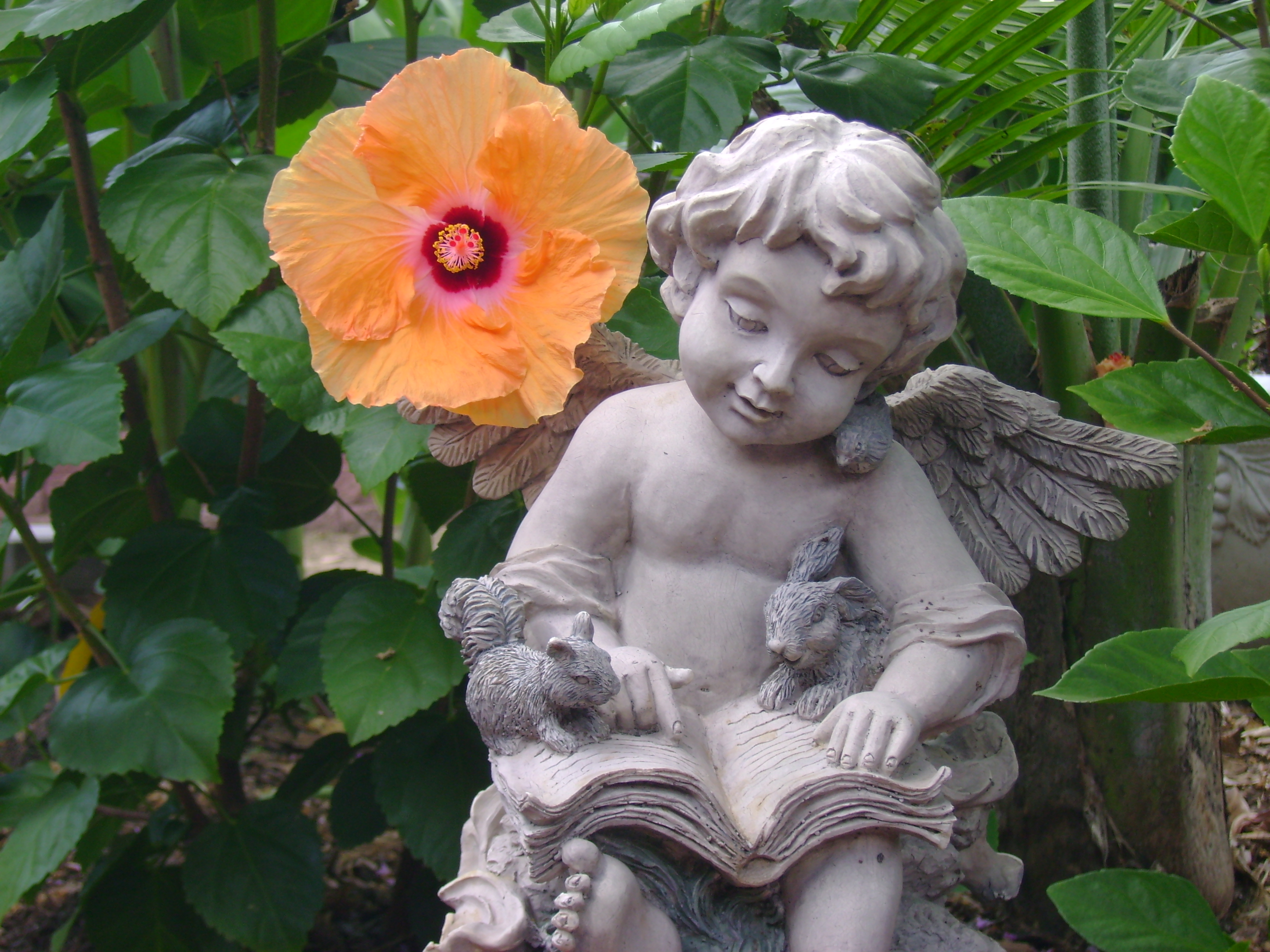 Catholic Scholars Denounce Common Core Program