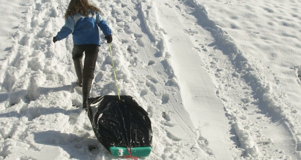 Schools Host Virtual Snow Days